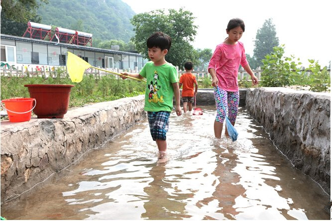 北京怀柔田野乡村旅游戏水摸鱼