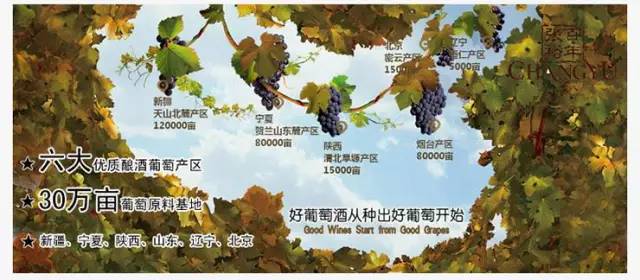 张裕解百纳干红葡萄酒