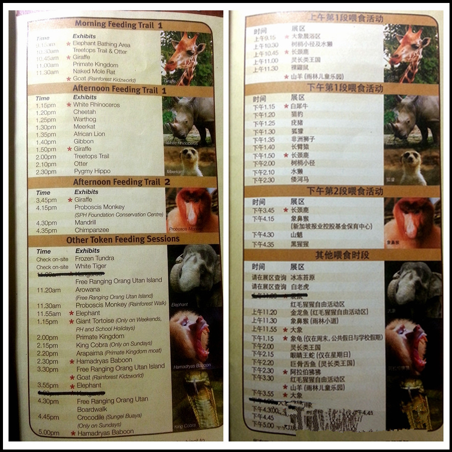 新加坡动物主题乐园