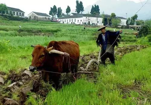 农业主题公园要怎么策划，才能留住游客呢