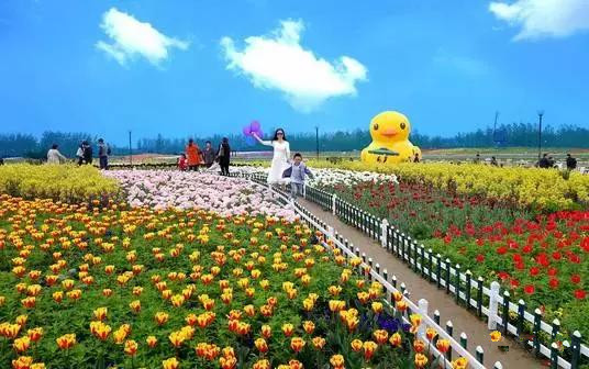 农业主题公园要怎么做能够成功呢